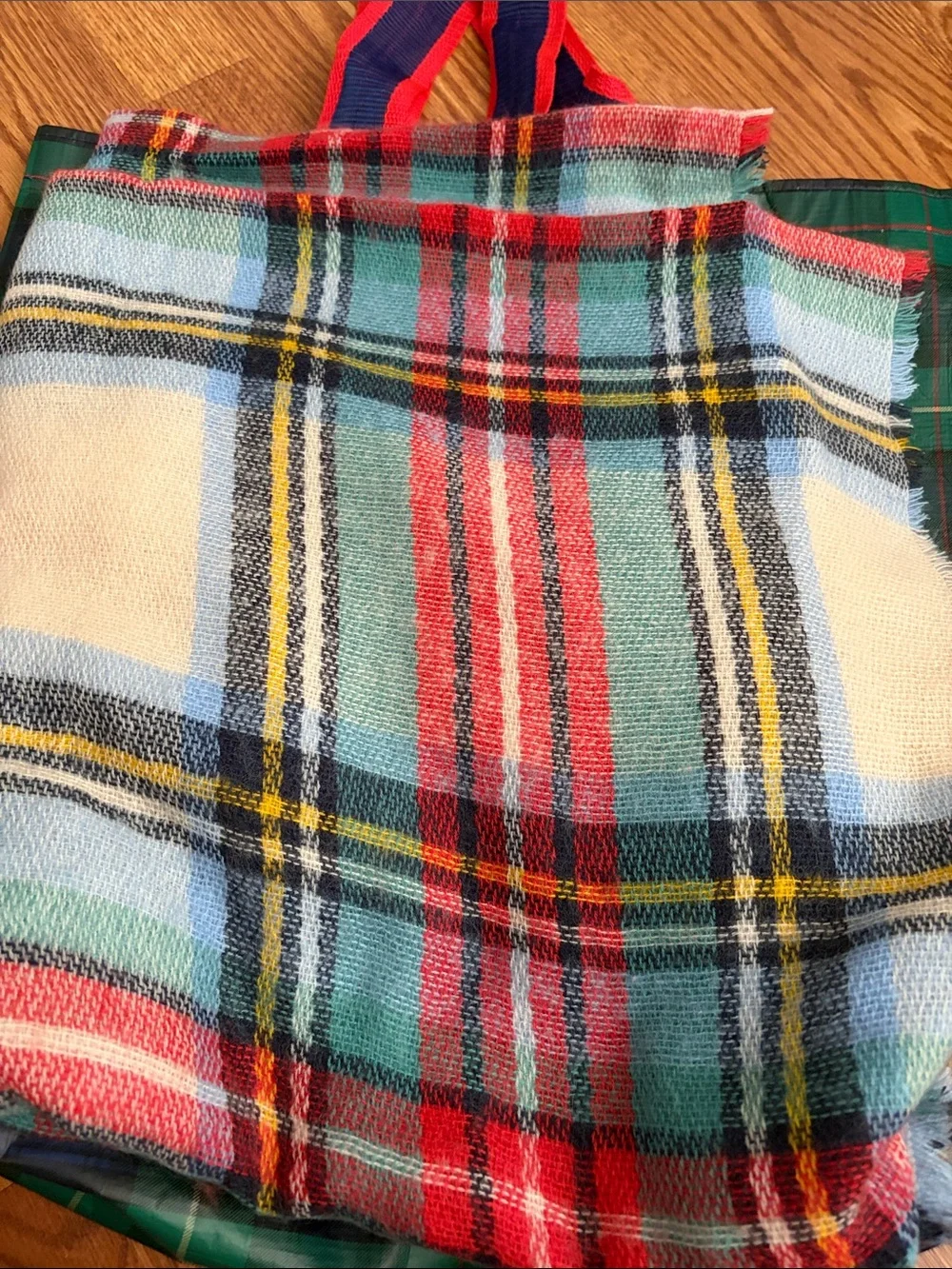 aerie Plaid Tote with Teal, Red and Cream Fringe Scarf